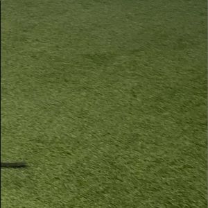 Meet your Posher, Autumn